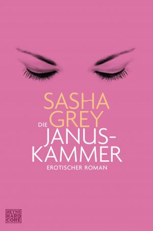 Cover of the book Die Janus-Kammer by Julie Kagawa