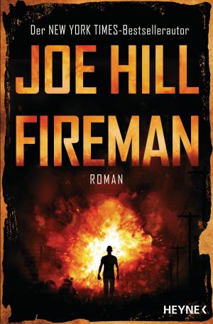 Cover of the book Fireman by Bernhard Hennen