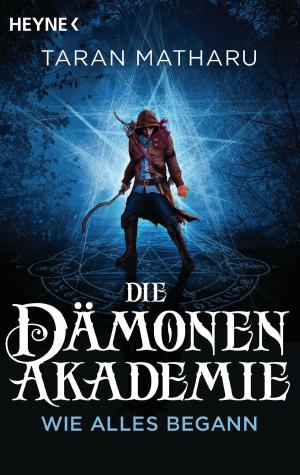 Cover of the book Die Dämonenakademie – Wie alles begann by Stieg Larsson