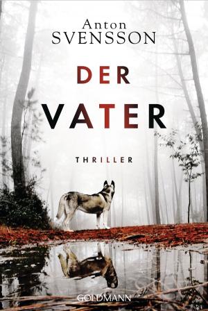Cover of the book Der Vater by S. Quinn