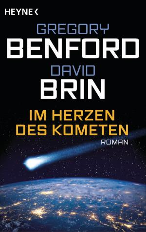 Book cover of Im Herzen des Kometen