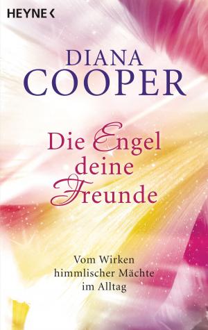 Cover of the book Die Engel, deine Freunde by Pascal Voggenhuber