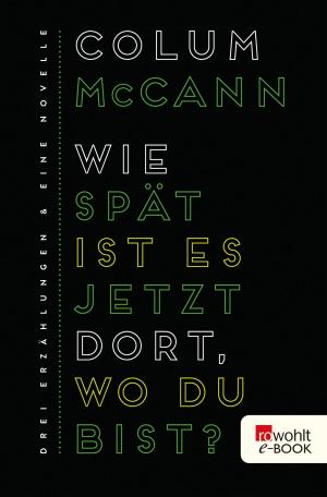 Cover of the book Wie spät ist es jetzt dort, wo du bist? by David Wagner