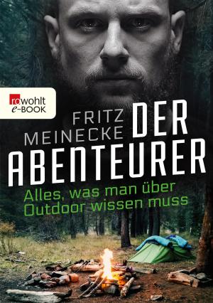 Cover of the book Der Abenteurer by Doris Knecht