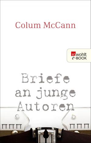 Cover of the book Briefe an junge Autoren by Laura Naumann