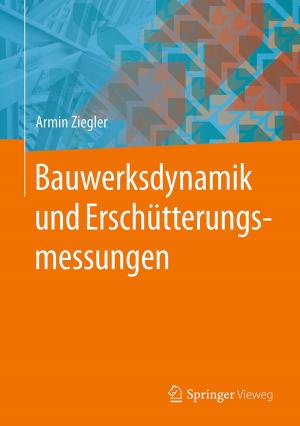 Cover of the book Bauwerksdynamik und Erschütterungsmessungen by Anna Borg, Mathias Jürgen Bauer