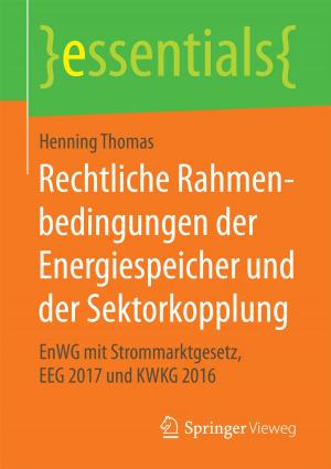 Cover of the book Rechtliche Rahmenbedingungen der Energiespeicher und der Sektorkopplung by Paul Geraedts