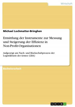 Cover of the book Ermittlung der Instrumente zur Messung und Steigerung der Effizienz in Non-Profit-Organisationen by Hermann Schoß