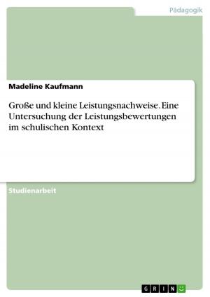 Cover of the book Große und kleine Leistungsnachweise. Eine Untersuchung der Leistungsbewertungen im schulischen Kontext by Alexander Christian Pape