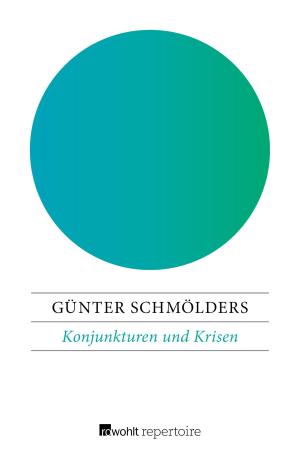 Cover of the book Konjunkturen und Krisen by Peter O. Chotjewitz