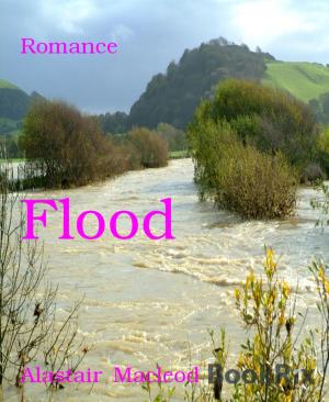 Cover of the book Flood by A. F. Morland