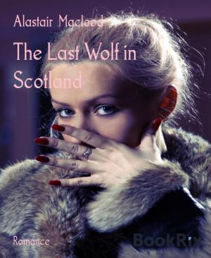 Cover of the book The Last Wolf in Scotland by Wilfried A. Hary, Art Norman