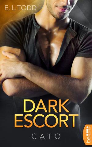 Cover of the book Dark Escort by BJ LaRue