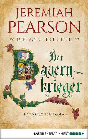 Cover of the book Der Bauernkrieger by Katrin Kastell