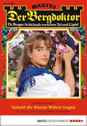 Cover of the book Der Bergdoktor - Folge 1866 by Karin Graf