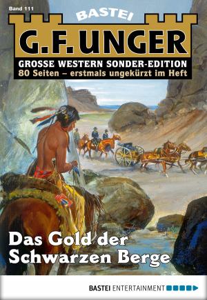 Cover of the book G. F. Unger Sonder-Edition 111 - Western by Richard Dübell