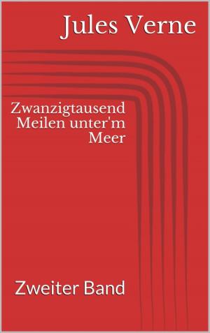Cover of the book Zwanzigtausend Meilen unter'm Meer - Zweiter Band by Michael Mustun
