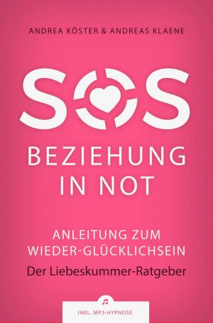 Cover of the book SOS Beziehung in Not by Andre Sternberg