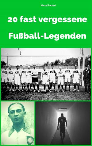 Cover of 20 fast vergessene Fußball-Legenden