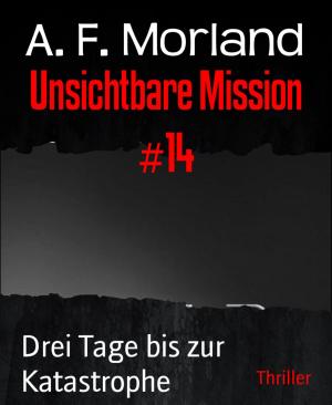 Cover of the book Unsichtbare Mission #14 by John Damocles Smith