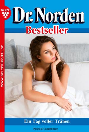 bigCover of the book Dr. Norden Bestseller 222 – Arztroman by 