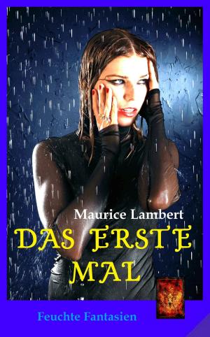 Cover of the book Das erste Mal by Jane Porter