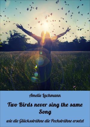 Book cover of Two Birds never sing the same Song
