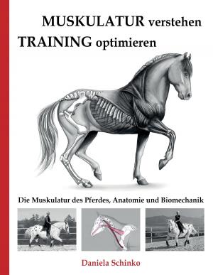 Cover of the book Muskulatur verstehen - Training optimieren by Anais C. Miller