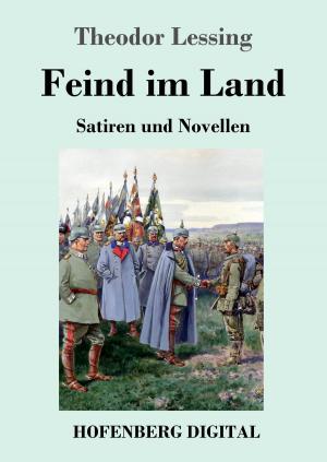 Cover of the book Feind im Land by Arthur Schnitzler