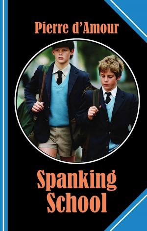 Cover of the book Spanking School by Alfred Bekker