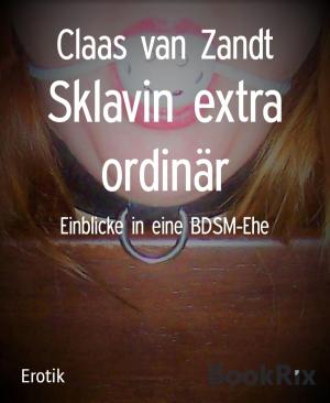 Cover of the book Sklavin extra ordinär by Angelika Nylone