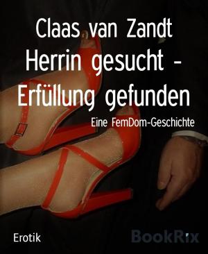 Book cover of Herrin gesucht - Erfüllung gefunden