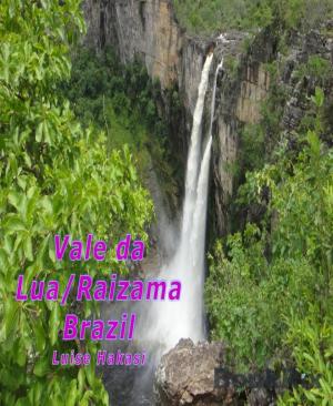 Cover of the book Vale da Lua/Raizama, Brazil by Dylan Kassman
