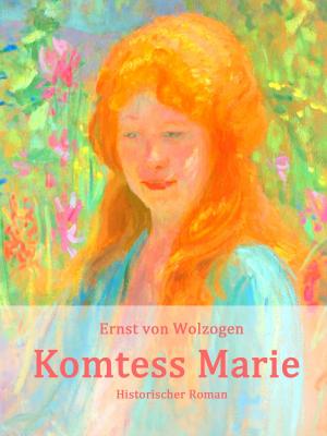 Book cover of Komtess Marie