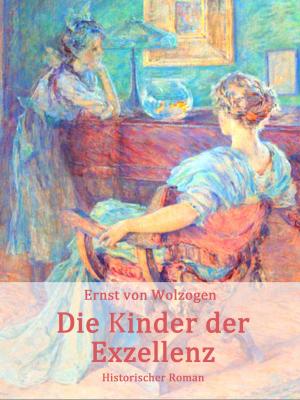 Cover of the book Die Kinder der Exzellenz by Jules Verne