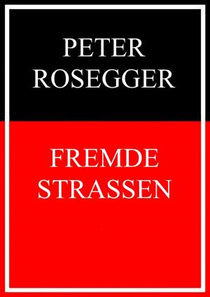 Cover of the book Fremde Straßen by Ewald Gronewold