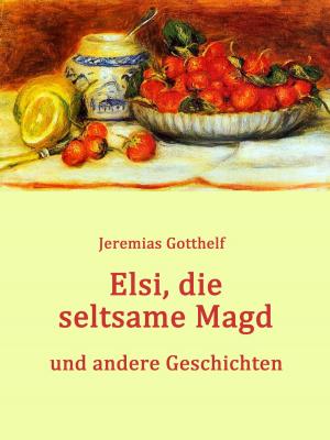 Cover of the book Elsi, die seltsame Magd by Heike Thieme