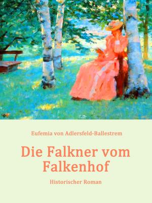 Cover of the book Die Falkner vom Falkenhof by Horst H. Geerken, Annette Bräker