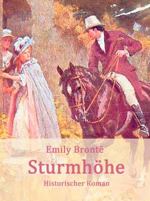 Cover of the book Sturmhöhe by Tess St. John