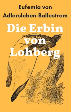 Cover of the book Die Erbin von Lohberg by Marius Heizfeld