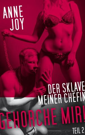 Cover of the book Der Sklave meiner Chefin by Jolan Rieger