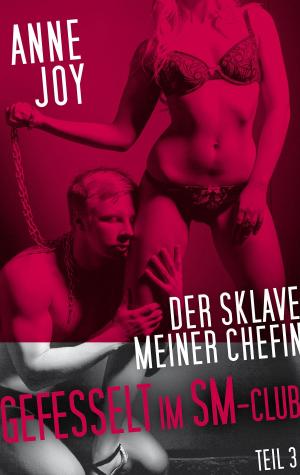 Book cover of Der Sklave meiner Chefin