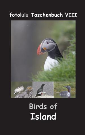 bigCover of the book Birds of Island by 