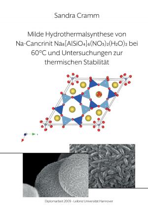 Book cover of Milde Hydrothermalsynthese von Na-Cancrinit Na8[AlSiO4]6(NO3)2(H2O)4 bei 60 °C und Untersuchungen zur thermischen Stabilität