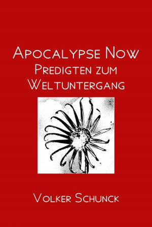 Cover of the book Apocalypse Now by Katrin Maren Schulz