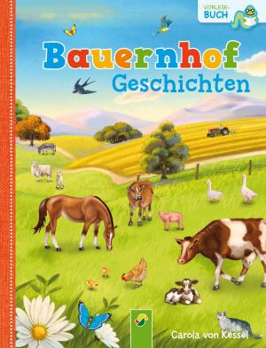 Book cover of Bauernhofgeschichten