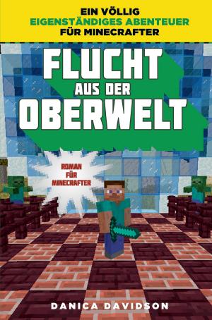 Cover of the book Flucht aus der Oberwelt by David Hine, Ron Marz