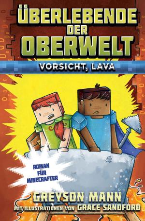 Book cover of Überlebende der Oberwelt: Vorsicht, Lava