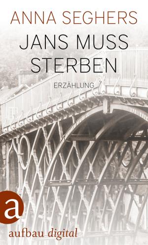 Cover of the book Jans muß sterben by Edgar Rai