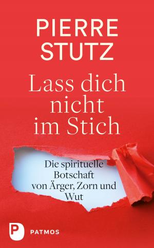 Cover of the book Lass dich nicht im Stich by George Augustin